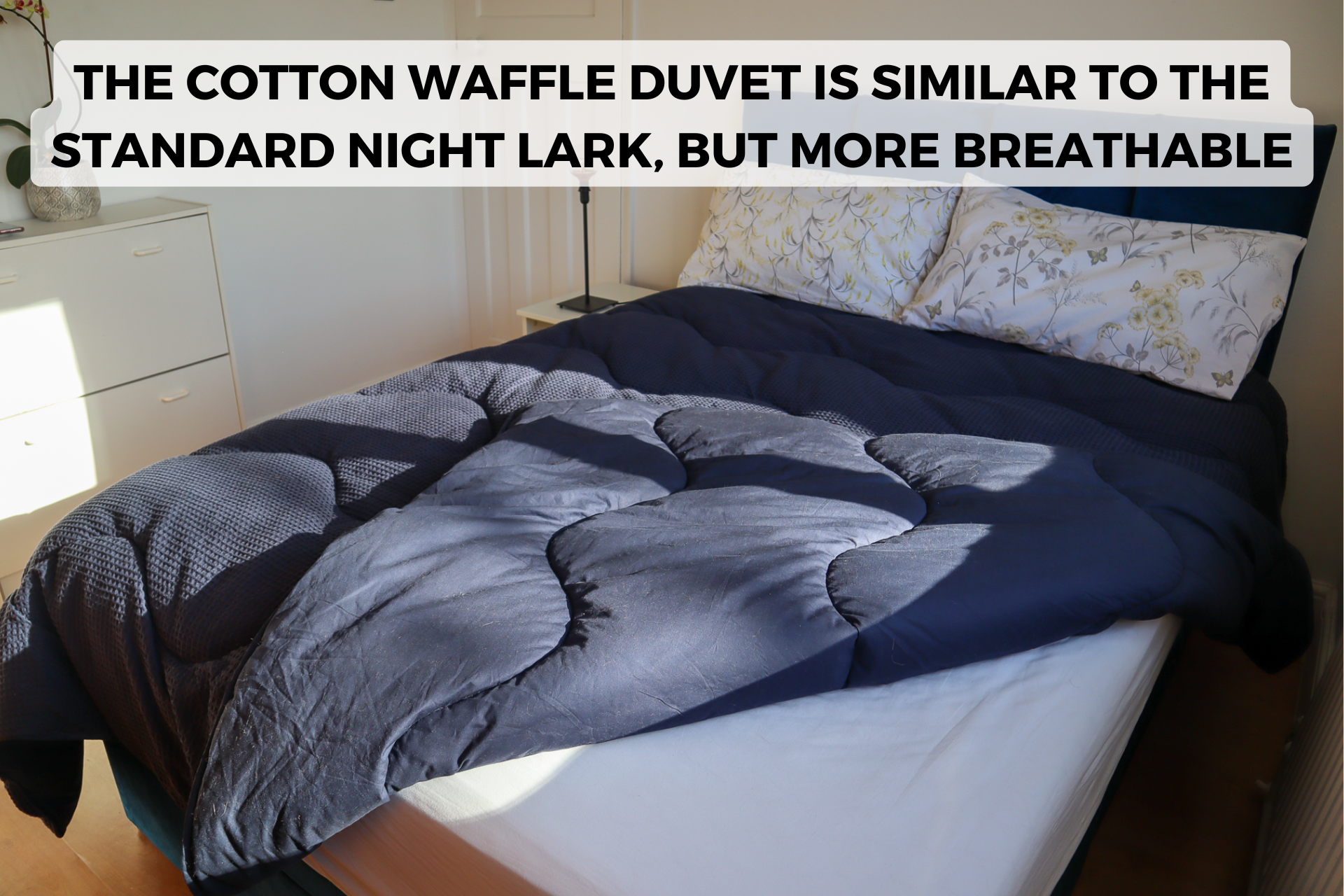 night lark versus cotton waffle
